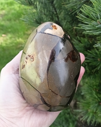 Septárie - Dračí vejce  880 g 