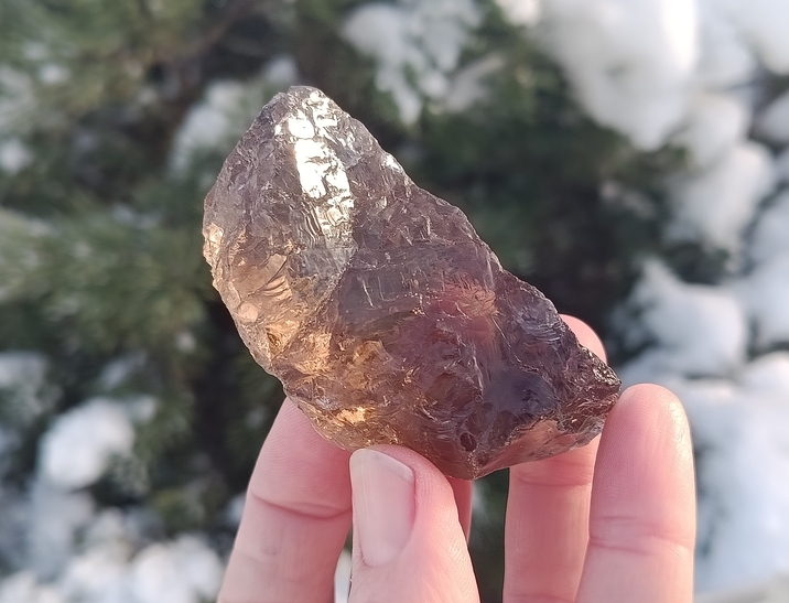 Záhněda surová 105 g - NOVÝ SMĚR