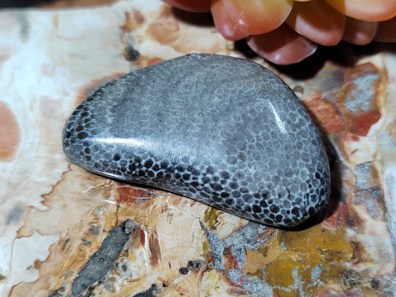 Korál černý 31,8 g Maroko